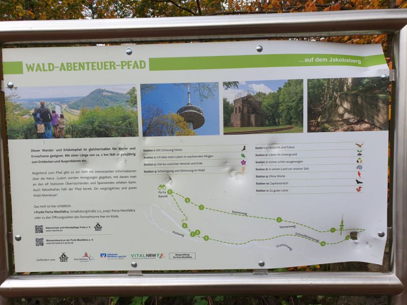 Nun ging es auf den Wald-Abenteuer-Pfad-