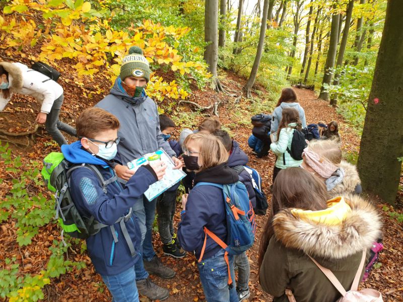 Mit Becherlupen Lebewesen auf dem Waldboden beobachten und bestimmen