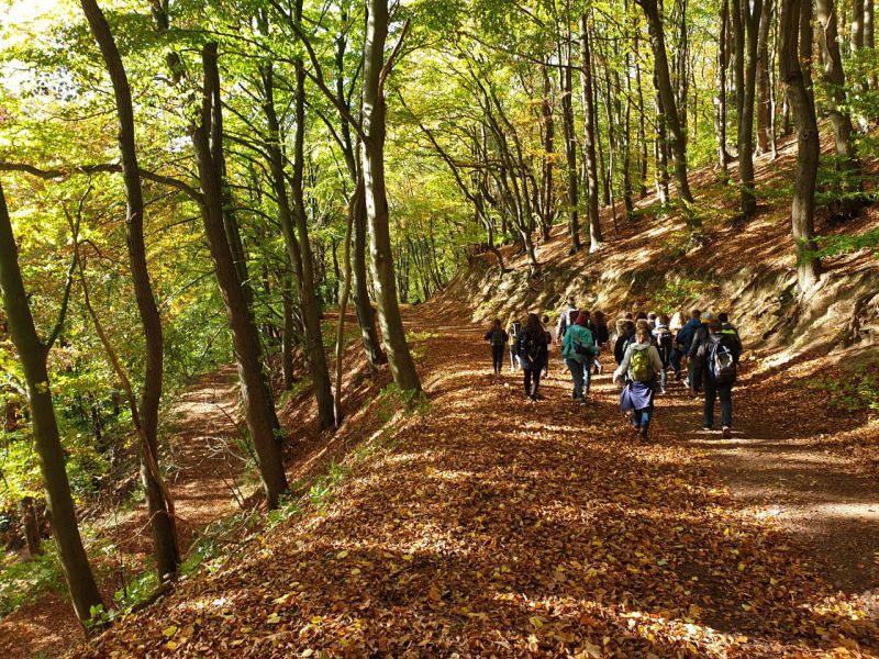 Bei schönstem Herbstwetter ging es wieder zurück zur Schule.