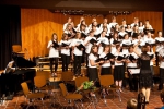 sommerkonzert_2010_20140326_1022266420