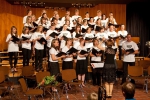 sommerkonzert_2010_20140326_1630164078